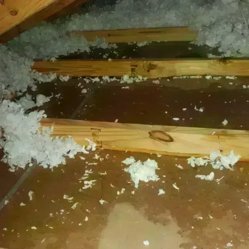 Attic Water Damage in Marion, OH