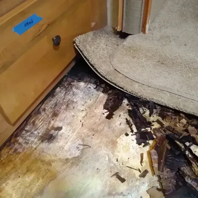 Wood Floor Water Damage in Marion, OH